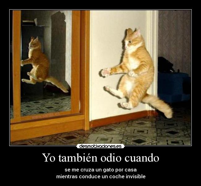 Yo también odio cuando -