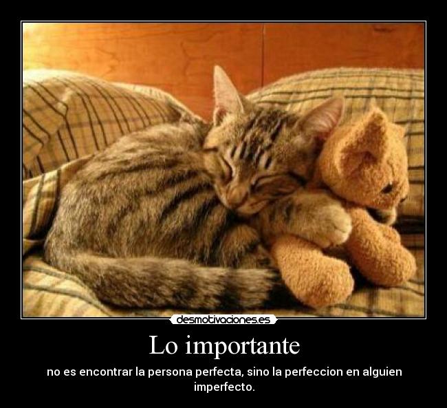 Lo importante - no es encontrar la persona perfecta, sino la perfeccion en alguien imperfecto.