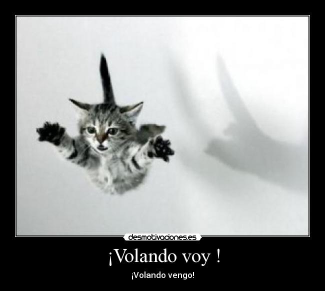 ¡Volando voy ! - 