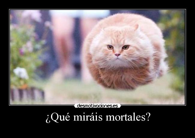 ¿Qué miráis mortales? - 