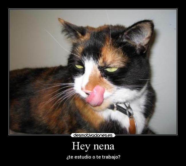 Hey nena -