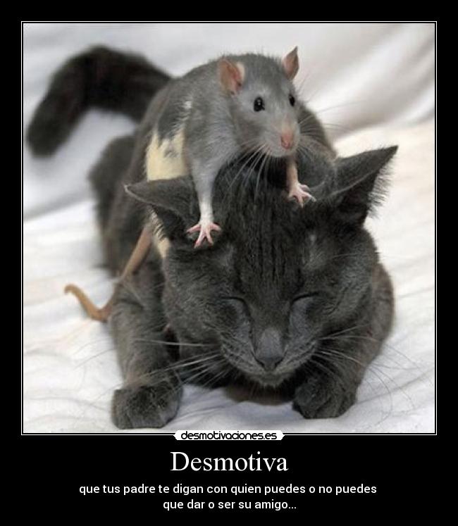 Desmotiva -