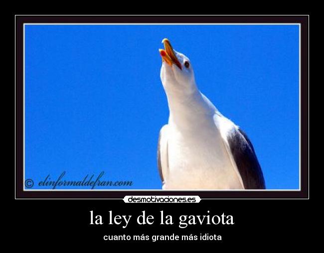 la ley de la gaviota - cuanto más grande más idiota