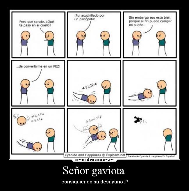 Señor gaviota - consiguiendo su desayuno :P