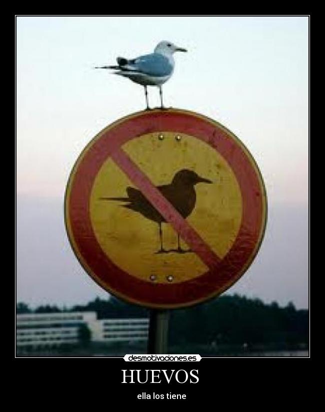 HUEVOS - ella los tiene