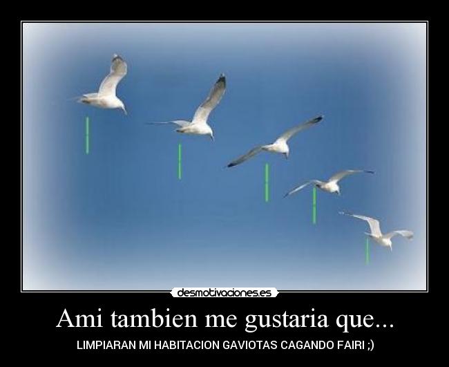 Ami tambien me gustaria que... - 