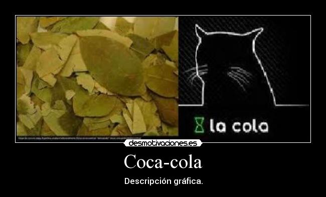 Coca-cola - Descripción gráfica.