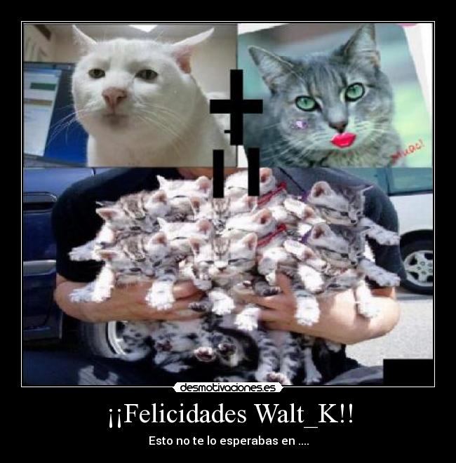 ¡¡Felicidades Walt_K!! -