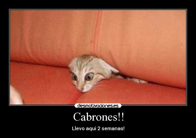Cabrones!! -
