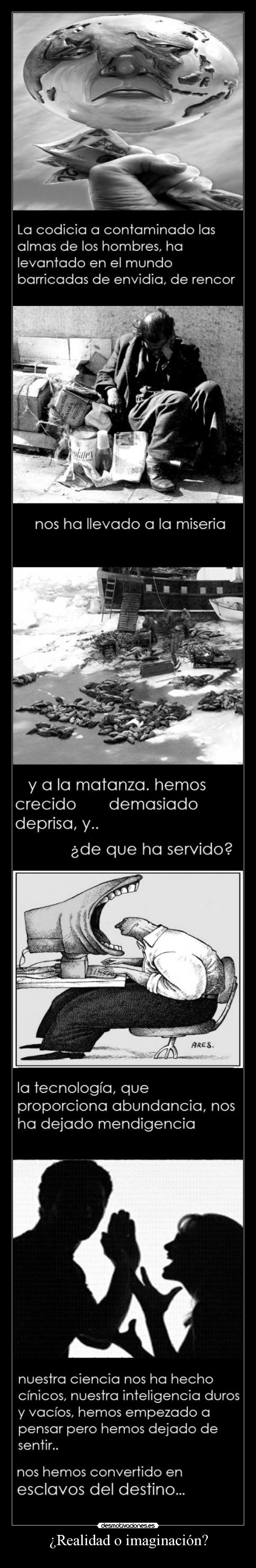 ¿Realidad o imaginación? - 