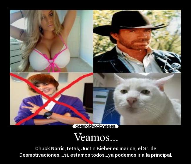 Veamos... - Chuck Norris, tetas, Justin Bieber es marica, el Sr. de
Desmotivaciones....si, estamos todos...ya podemos ir a la principal.