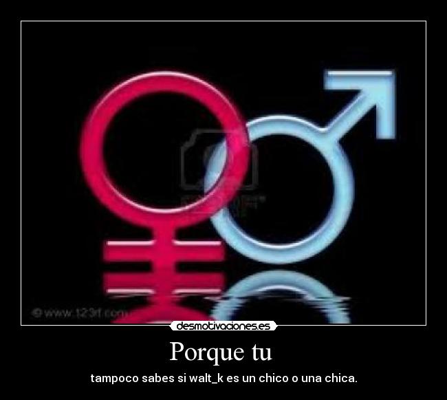 Porque tu - tampoco sabes si walt_k es un chico o una chica.