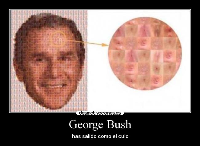 George Bush - 