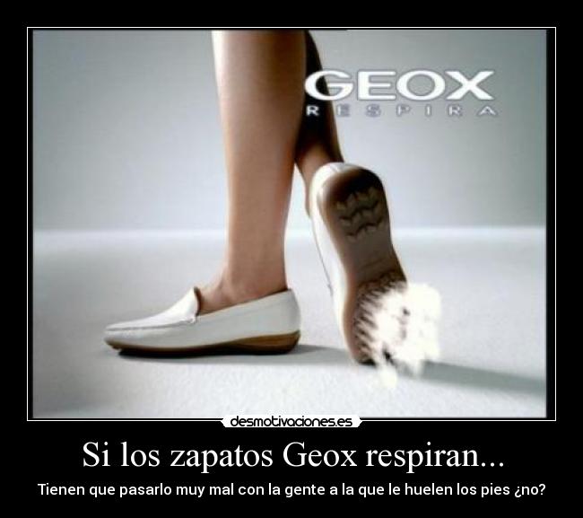Si los zapatos Geox respiran... - 