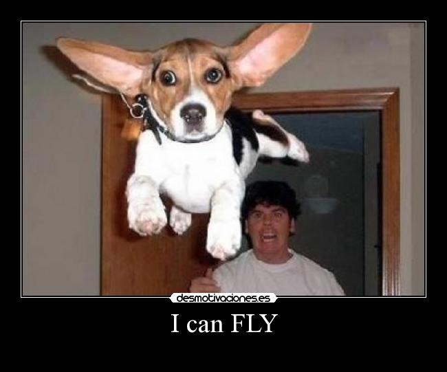 I can FLY -