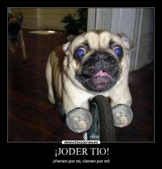 ¡JODER TIO! -