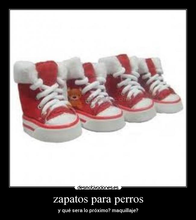 zapatos para perros - y qué sera lo próximo? maquillaje?