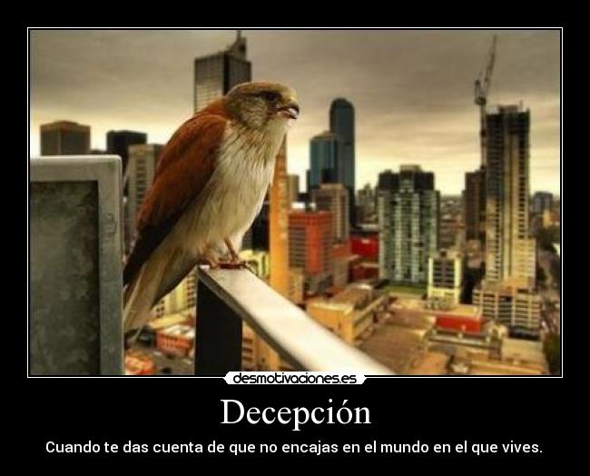 Decepción -