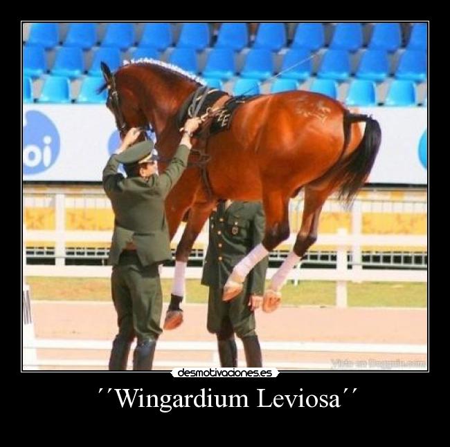 ´´Wingardium Leviosa´´ -