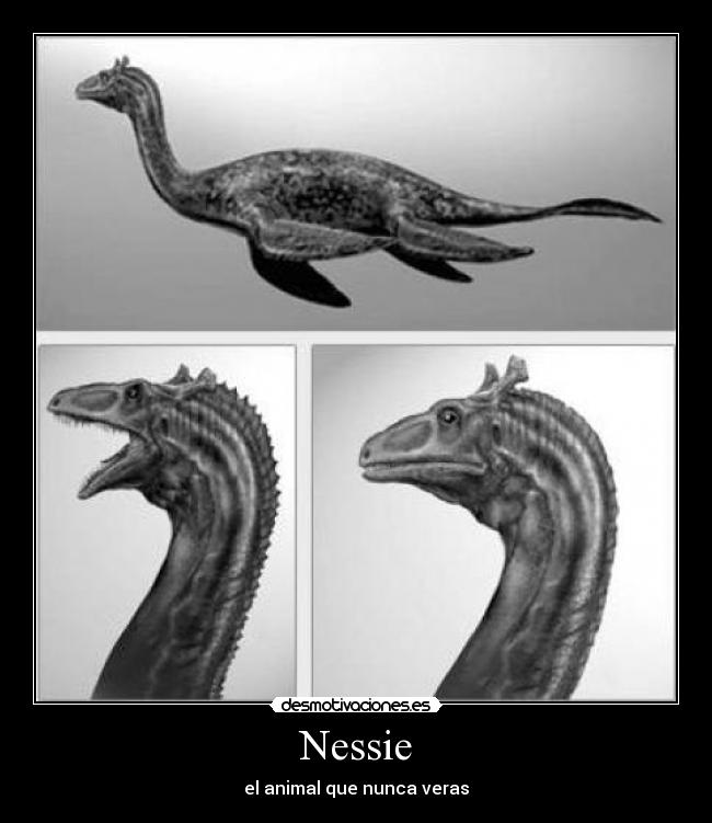 Nessie - el animal que nunca veras