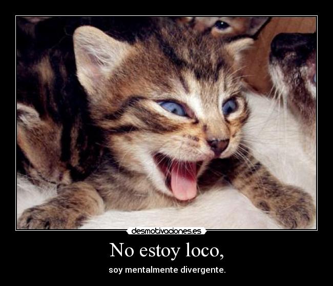 No estoy loco, - 