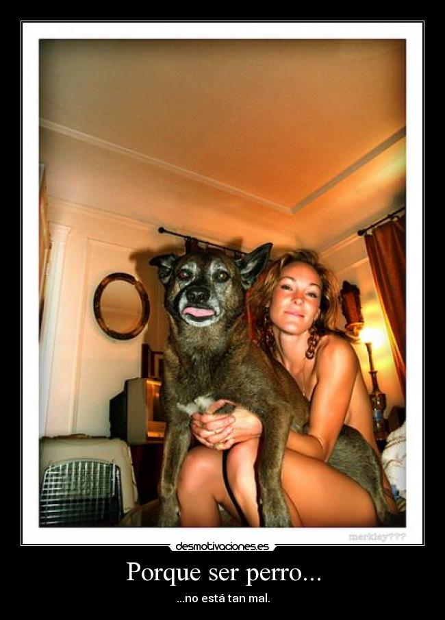 Porque ser perro... -