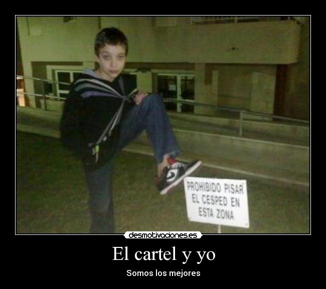 El cartel y yo - 