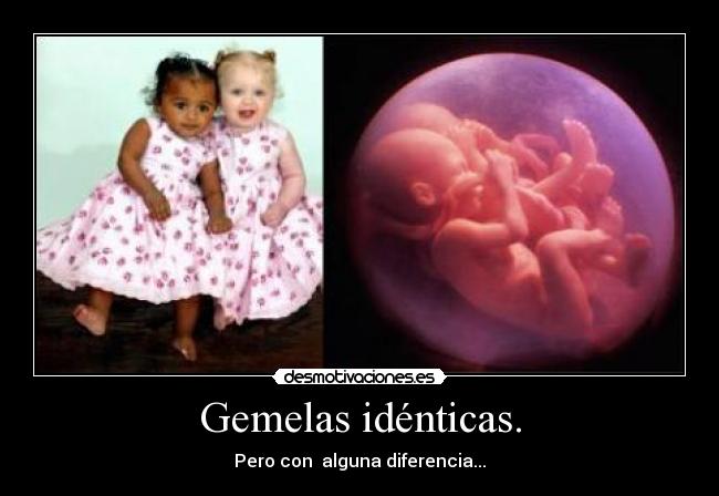 Gemelas idénticas. - Pero con  alguna diferencia...