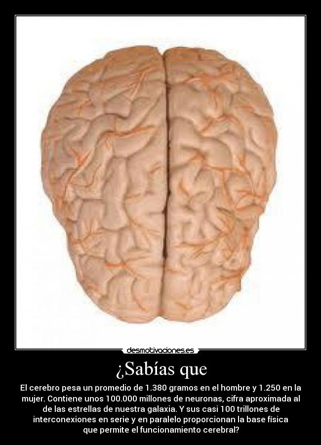 carteles sabias que desmotivaciones