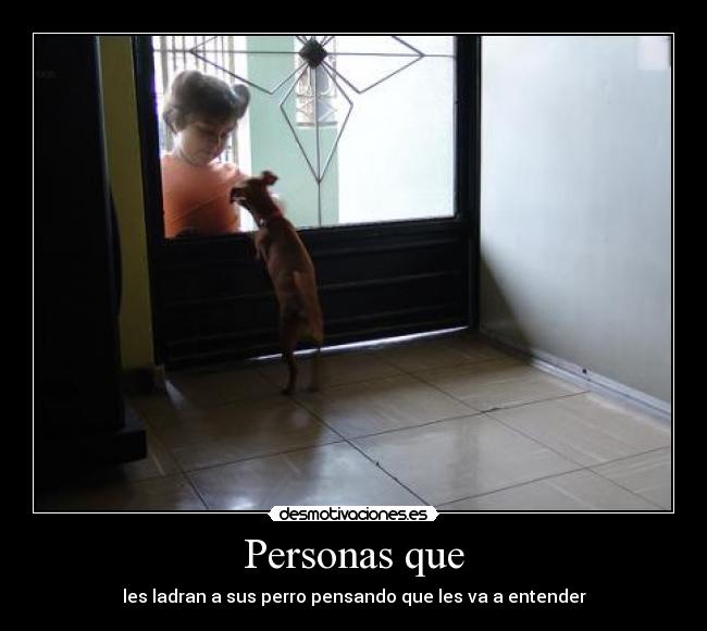 Personas que - les ladran a sus perro pensando que les va a entender