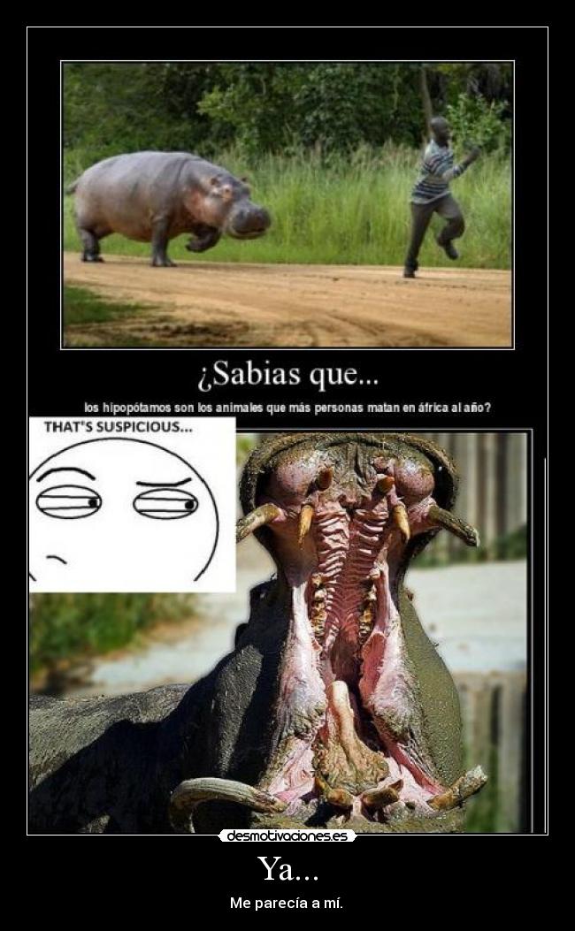 Ya... - Me parecía a mí.