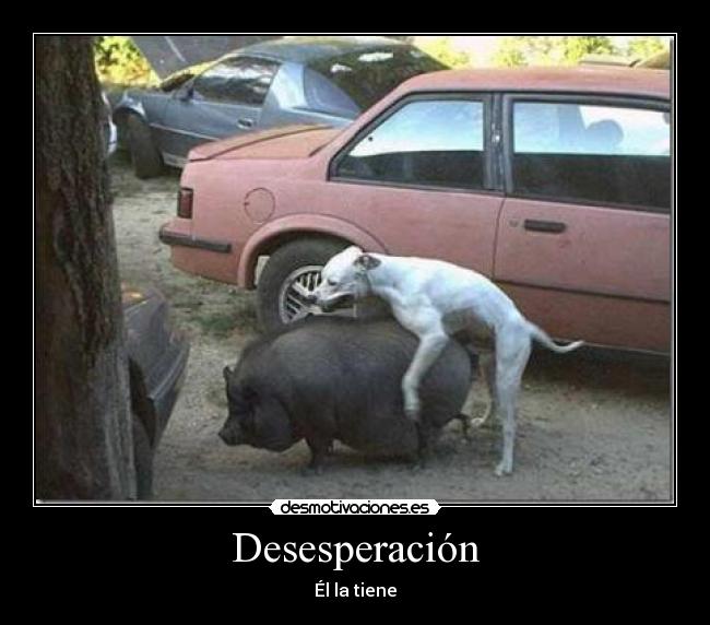 Desesperación - Él la tiene