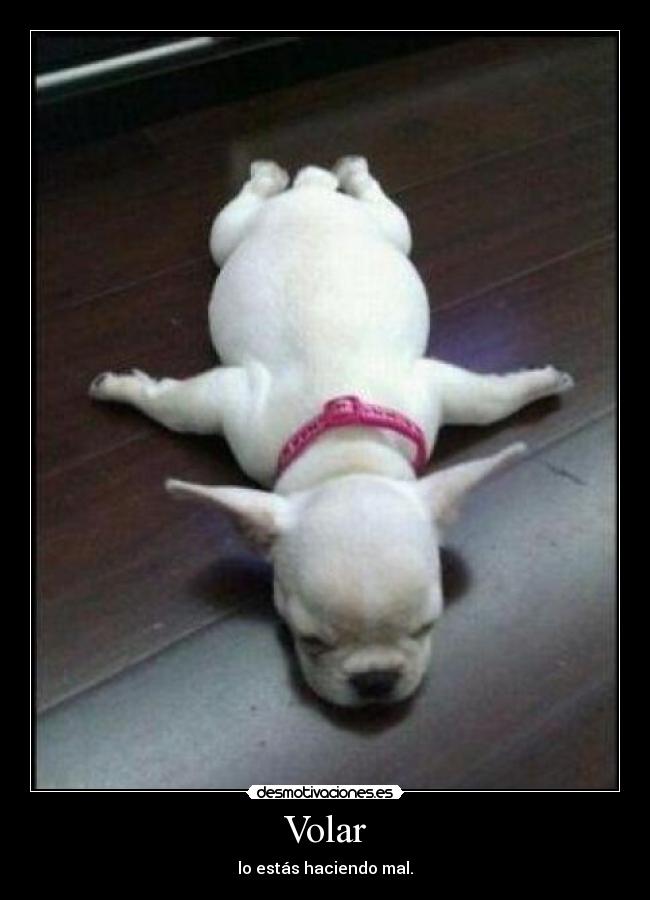 Volar - lo estás haciendo mal.