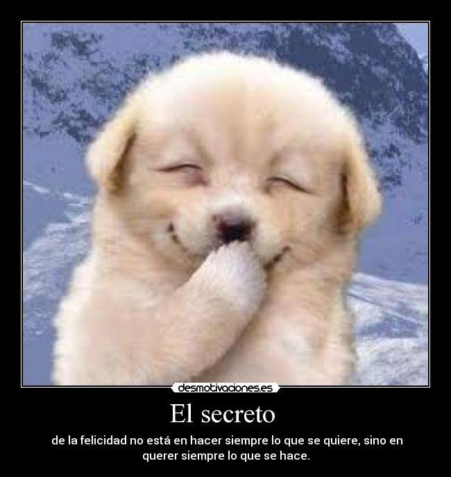 carteles  desmotivaciones