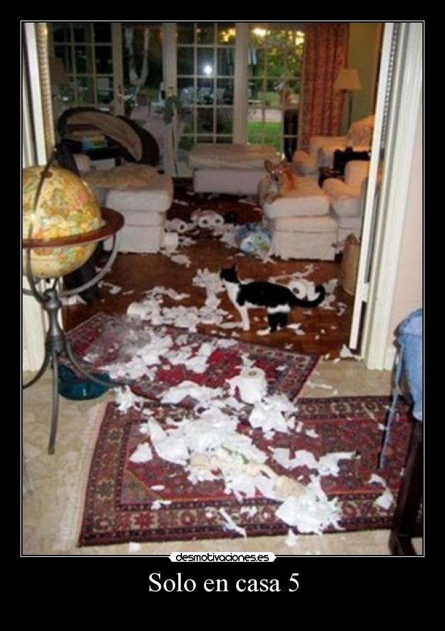 Solo en casa 5 - 