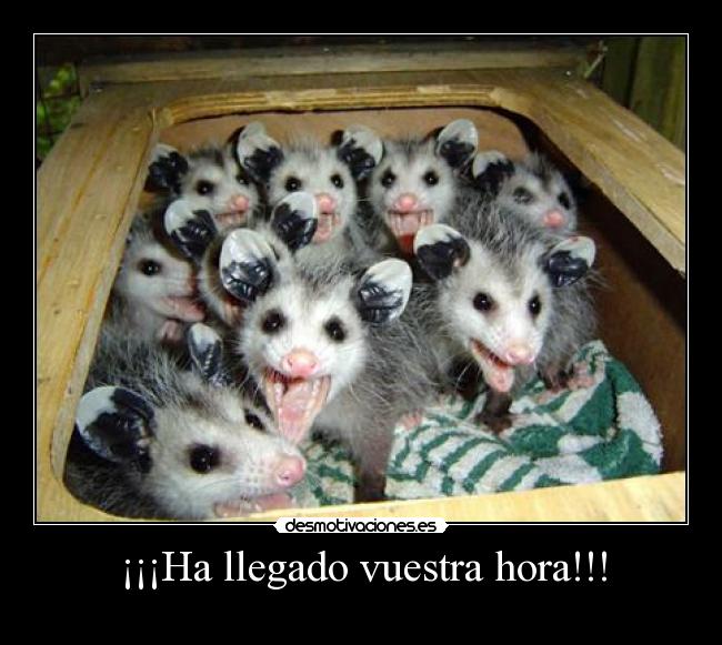 ¡¡¡Ha llegado vuestra hora!!! -