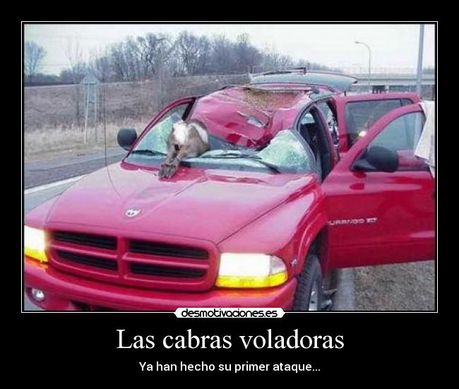 Las cabras voladoras - 