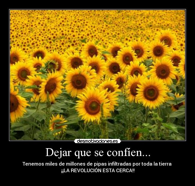 Dejar que se confíen... - Tenemos miles de millones de pipas infiltradas por toda la tierra
¡¡LA REVOLUCIÓN ESTA CERCA!!