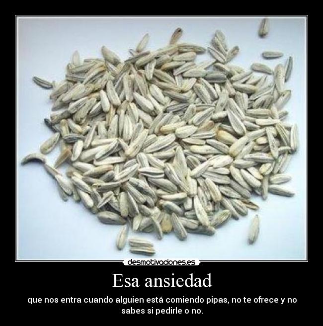 carteles pipas desmotivaciones