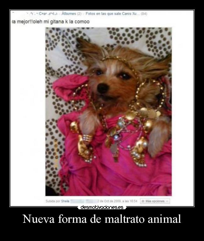 Nueva forma de maltrato animal -