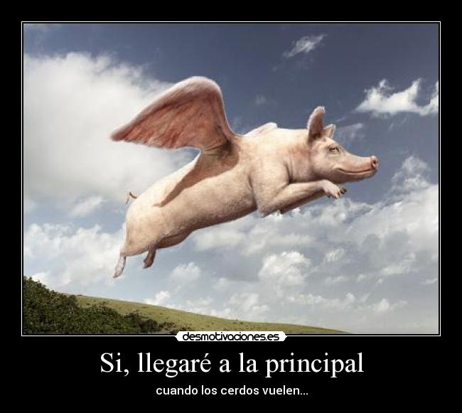 Si, llegaré a la principal -