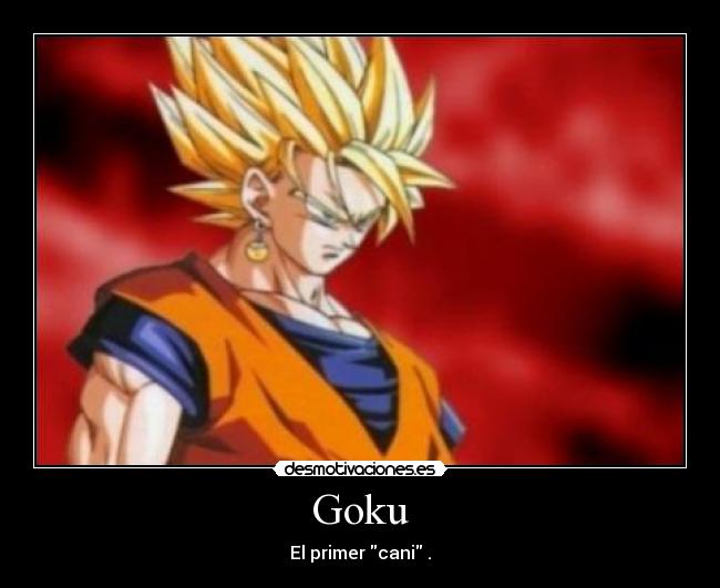 Goku - El primer cani .