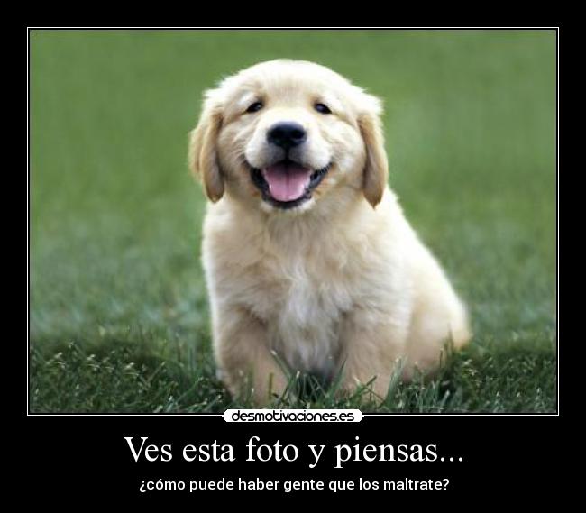 Ves esta foto y piensas... -
