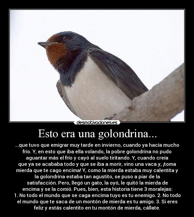 Esto era una golondrina... - ...que tuvo que emigrar muy tarde en invierno, cuando ya hacía mucho
frío. Y, en esto que iba ella volando, la pobre golondrina no pudo
aguantar más el frío y cayó al suelo tiritando. Y, cuando creía
que ya se acababa todo y que se iba a morir, vino una vaca y, ¡toma
mierda que te cago encima! Y, como la mierda estaba muy calentita y
la golondrina estaba tan agustito, se puso a piar de la
satisfacción. Pero, llegó un gato, la oyó, le quitó la mierda de
encima y se la comió. Pues, bien, esta historia tiene 3 moralejas:
1. No todo el mundo que se caga encima tuyo es tu enemigo. 2. No todo
el mundo que te saca de un montón de mierda es tu amigo. 3. Si eres
feliz y estás calentito en tu montón de mierda, cállate.