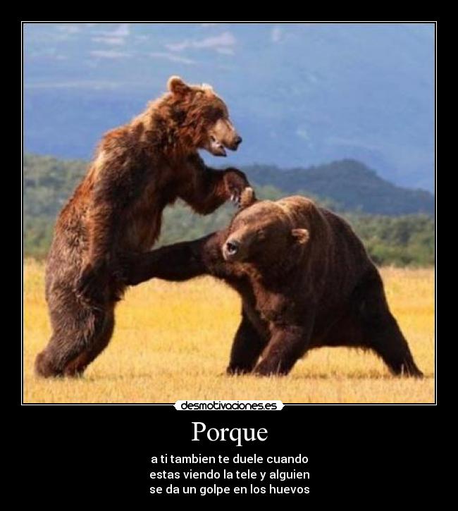 Porque - a ti tambien te duele cuando
estas viendo la tele y alguien
se da un golpe en los huevos