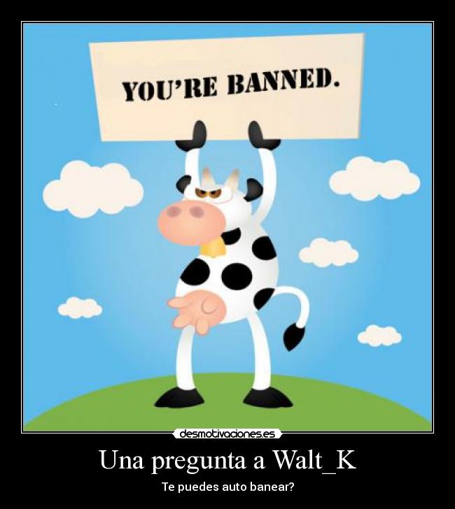 Una pregunta a Walt_K - 