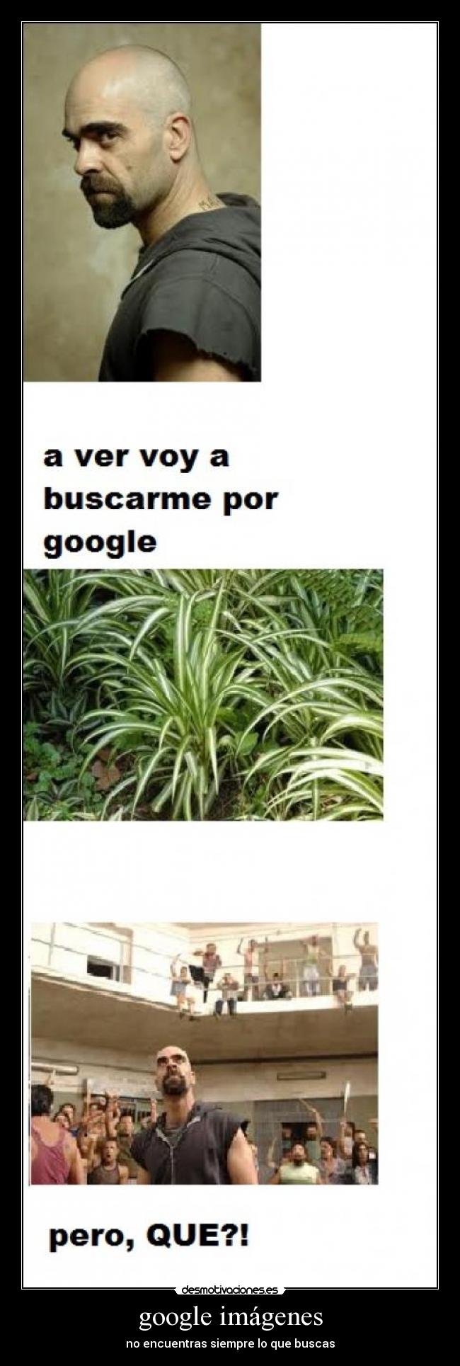 google imágenes - no encuentras siempre lo que buscas