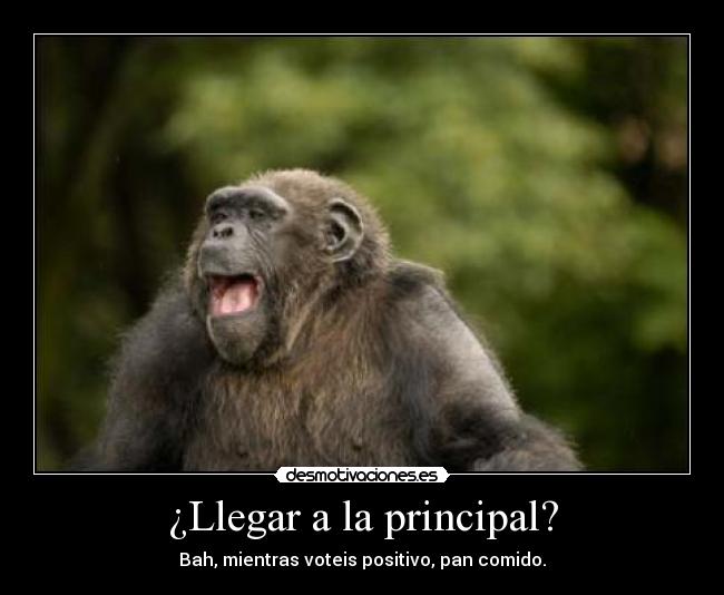 ¿Llegar a la principal? - 