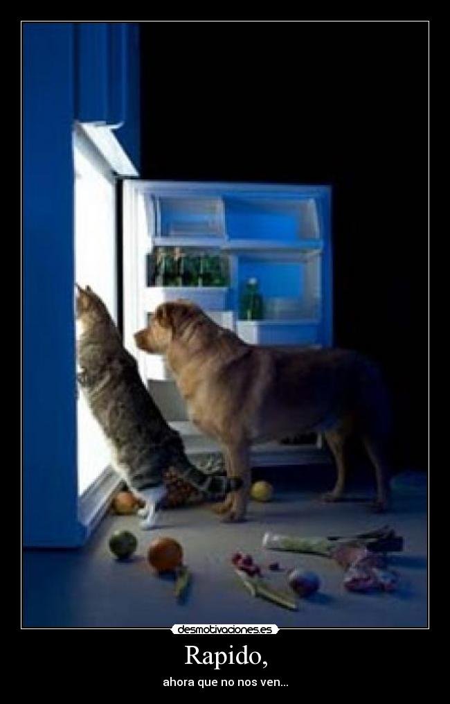 Rapido, - ahora que no nos ven...