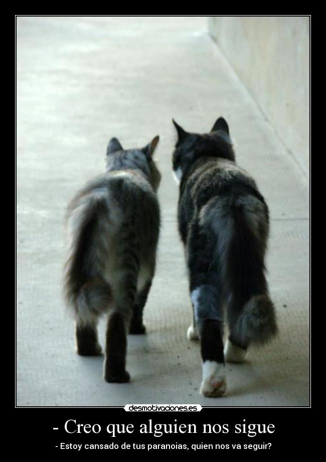 - Creo que alguien nos sigue - - Estoy cansado de tus paranoias, quien nos va seguir?